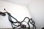 2002 Polaris Sportsman 500 Oem Main Wire Harness 2460944 AP78