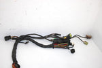 10 Arctic Cat Atv 700 H1 Efi 4x4 Automatic Oem Main Wire Harness 0486-328 AA10