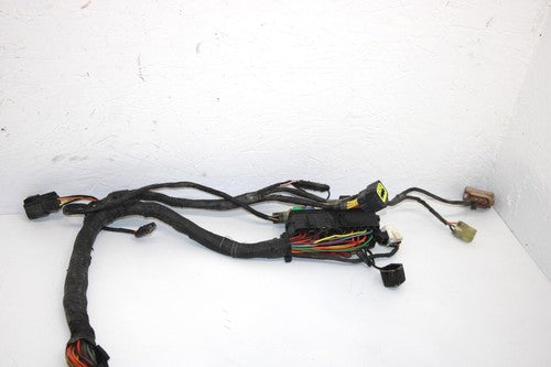 10 Arctic Cat Atv 700 H1 Efi 4x4 Automatic Oem Main Wire Harness 0486-328 AA10