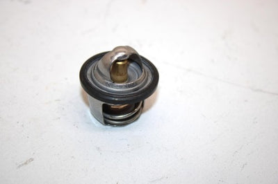 10 Arctic Cat Atv 700 H1 Efi 4x4 Automatic Oem Thermostat 0808-078 AA10