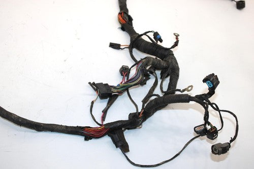10 Arctic Cat Atv 700 H1 Efi 4x4 Automatic Oem Main Wire Harness 0486-328 AA10