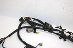 06 Arctic Cat Crossfire 700 Efi Oem Main Wire Harness 1686-281 SA224