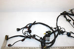 06 Arctic Cat Crossfire 700 Efi Oem Main Wire Harness 1686-281 SA224