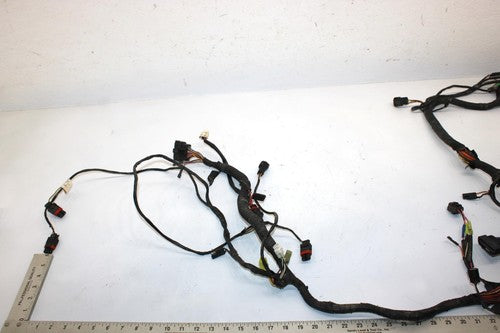 10 Arctic Cat Atv 700 H1 Efi 4x4 Automatic Oem Main Wire Harness 0486-328 AA10
