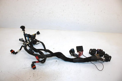 07 Polaris Fst Touring Oem Engine Wiring Harness 2410816 2410924 SP2