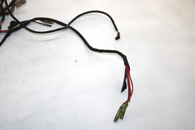 93 Yamaha  Timberwolf  2wd Oem Main Wire Harness 4BD-82590-00-00 AY34