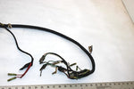 93 Yamaha  Timberwolf  2wd Oem Main Wire Harness 4BD-82590-00-00 AY34