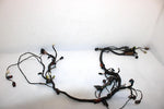 10 Arctic Cat Atv 700 H1 Efi 4x4 Automatic Oem Main Wire Harness 0486-328 AA10