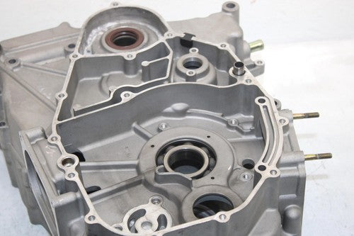 10 Arctic Cat 450 Efi  Oem Engine Motor Crankcase 0801-191 AA18
