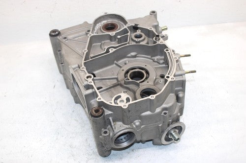 10 Arctic Cat 450 Efi  Oem Engine Motor Crankcase 0801-191 AA18