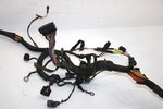 10 Arctic Cat Atv 700 H1 Efi 4x4 Automatic Oem Main Wire Harness 0486-328 AA10