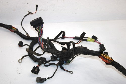 10 Arctic Cat Atv 700 H1 Efi 4x4 Automatic Oem Main Wire Harness 0486-328 AA10