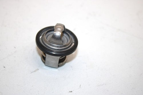 10 Arctic Cat Atv 700 H1 Efi 4x4 Automatic Oem Thermostat 0808-078 AA10