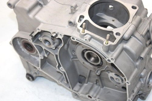 10 Arctic Cat 450 Efi  Oem Engine Motor Crankcase 0801-191 AA18