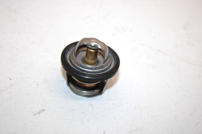 10 Arctic Cat Atv 700 H1 Efi 4x4 Automatic Oem Thermostat 0808-078 AA10