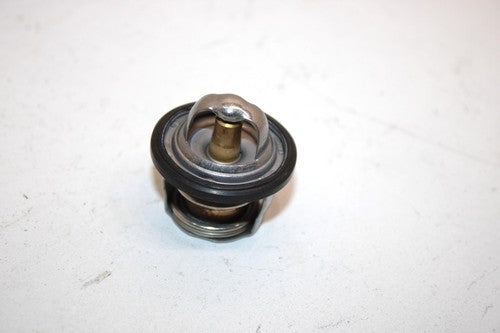 10 Arctic Cat Atv 700 H1 Efi 4x4 Automatic Oem Thermostat 0808-078 AA10