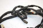 97 Arctic Cat Bearcat 454 4x4 Oem Main Wire Harness 0486-001 AA24