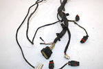 10 Arctic Cat Atv 700 H1 Efi 4x4 Automatic Oem Main Wire Harness 0486-328 AA10