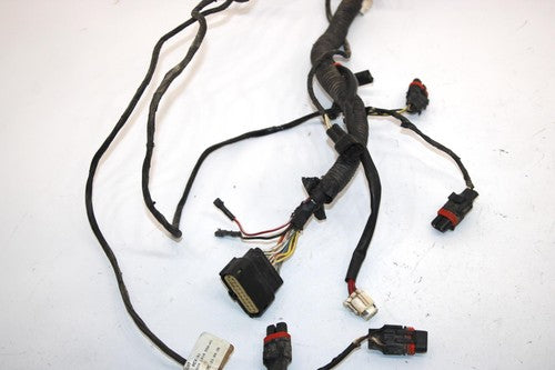 10 Arctic Cat Atv 700 H1 Efi 4x4 Automatic Oem Main Wire Harness 0486-328 AA10