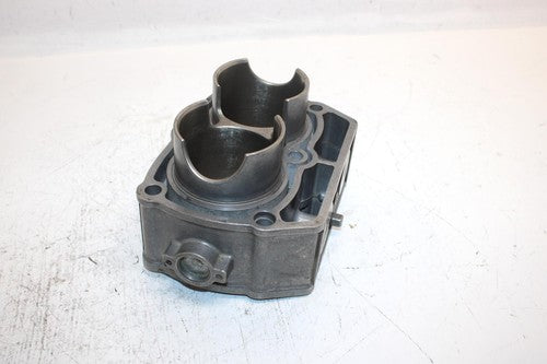 07 Polaris Sportsman 800 Efi Oem Stock Cylinder 2202696 2203911 AP59