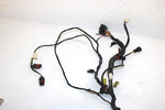 10 Arctic Cat Atv 700 H1 Efi 4x4 Automatic Oem Main Wire Harness 0486-328 AA10