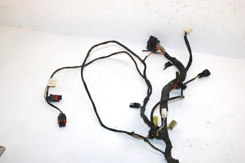 10 Arctic Cat Atv 700 H1 Efi 4x4 Automatic Oem Main Wire Harness 0486-328 AA10