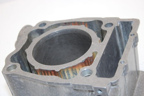 01 Polaris Sportsman 400 Oem STD 87.9mm Bore Cylinder 3087062 APS1
