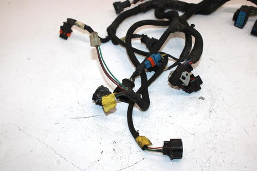 07 Polaris Fst Touring Oem Engine Wiring Harness 2410816 2410924 SP2