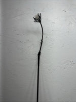 New Berkleigh Black Hand Held Crop Whip #2069 LLL-30
