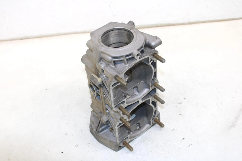 07 Polaris Trail Touring Deluxe Oem Engine Block Crankcase 3089225 SP207