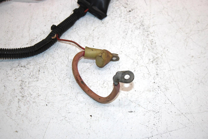 1995 Polaris 300 4x4 Oem Main Wire Harness 2460498 AP160