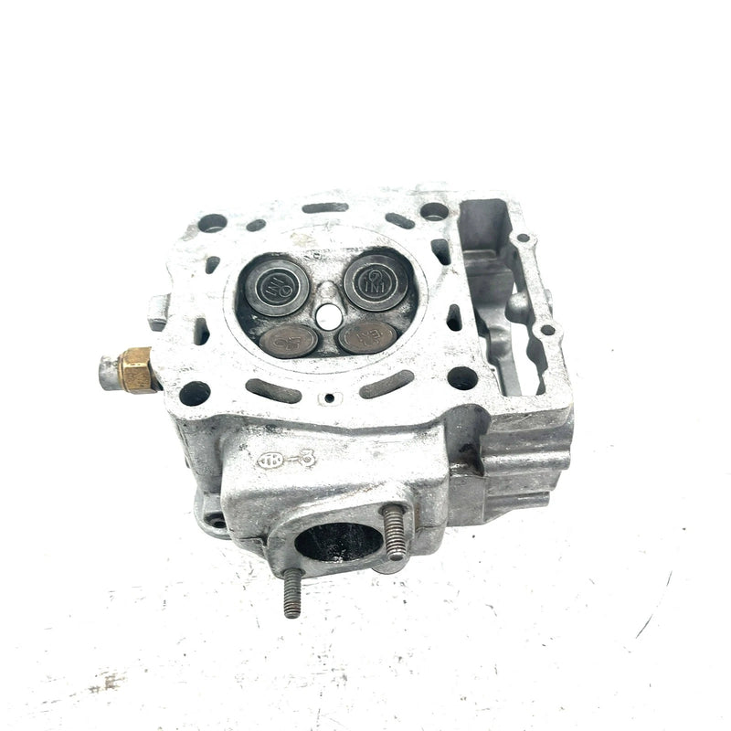 96-13 Polaris Sportsman 500 OEM Cylinder Head 30855273085527 AP226