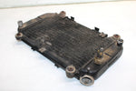 96 Kawasaki Bayou 400 4x4 Oem Coolant Radiator 39060-1110 AK11
