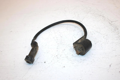 2007 Yamaha  Grizzly 350 2wd Oem Ignition Coil  5KM-82310-03-00 AY28