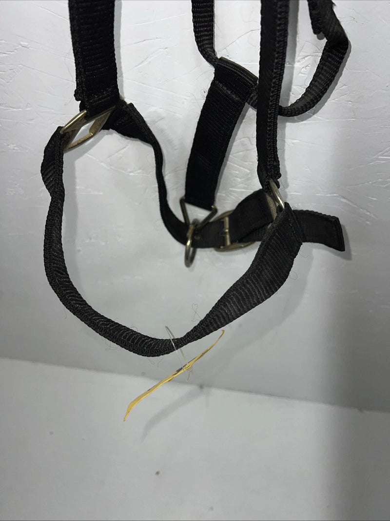 New Showman Nylon Black Halter With Genuine Leather Head Piece #6657 W-50