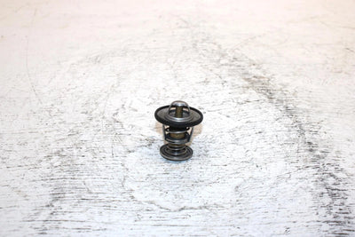 2000 Ski-doo Mxz 600 Oem Thermostat 414834100 420922519 SS0