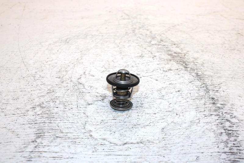 2000 Ski-doo Mxz 600 Oem Thermostat 414834100 420922519 SS0
