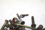 97 Arctic Cat Powder Special OEM Bolts Nuts Washers Spacers Hardware Kit SA99