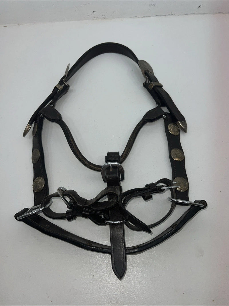 New Brown Leather Full Horse Show Halter Silver Buckles 3C-16
