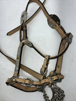 Used Light Oil Genuine Leather Show Halter With Lead Rope Silver Accents W-23