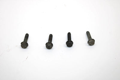 Ski-doo Oem Taping Screw M5x20 Set of 4 420841555 Q4353