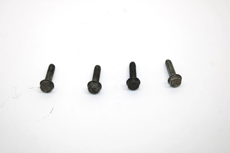 Ski-doo Oem Taping Screw M5x20 Set of 4 420841555 Q4353