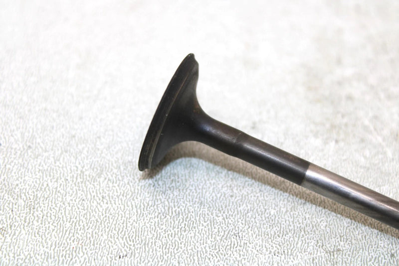 2001 Yamaha  Raptor 660r Oem Intake Valve 3YF-12111-00-00 AY33