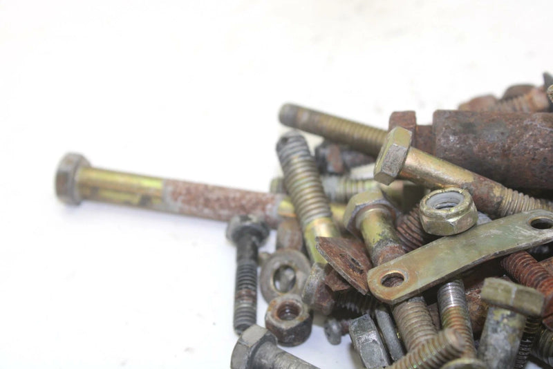 96 Arctic Cat EXT 580 EFI Mountain Cat OEM Bolts Nuts Washers Hardware Kit SA84