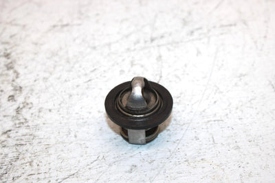 2002 Polaris Sportsman 700 Oem Thermostat 7052308 AP184