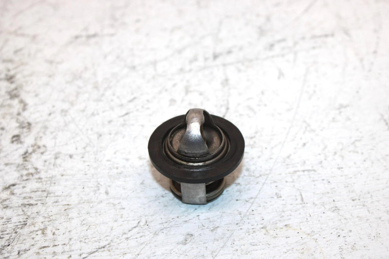 2002 Polaris Sportsman 700 Oem Thermostat 7052308 AP184