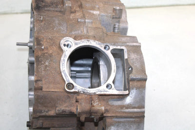 91 Yamaha  Big Bear  4wd Oem Crankcase 1YW-15100-07-00 AY43