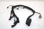Ski-doo Oem Engine Wiring Harness 420664317 B121