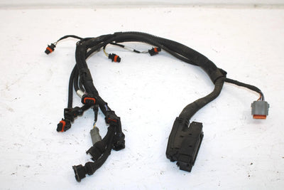 Ski-doo Oem Engine Wiring Harness 420664317 B121