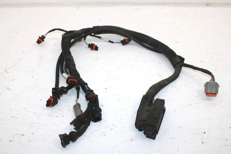Ski-doo Oem Engine Wiring Harness 420664317 B121